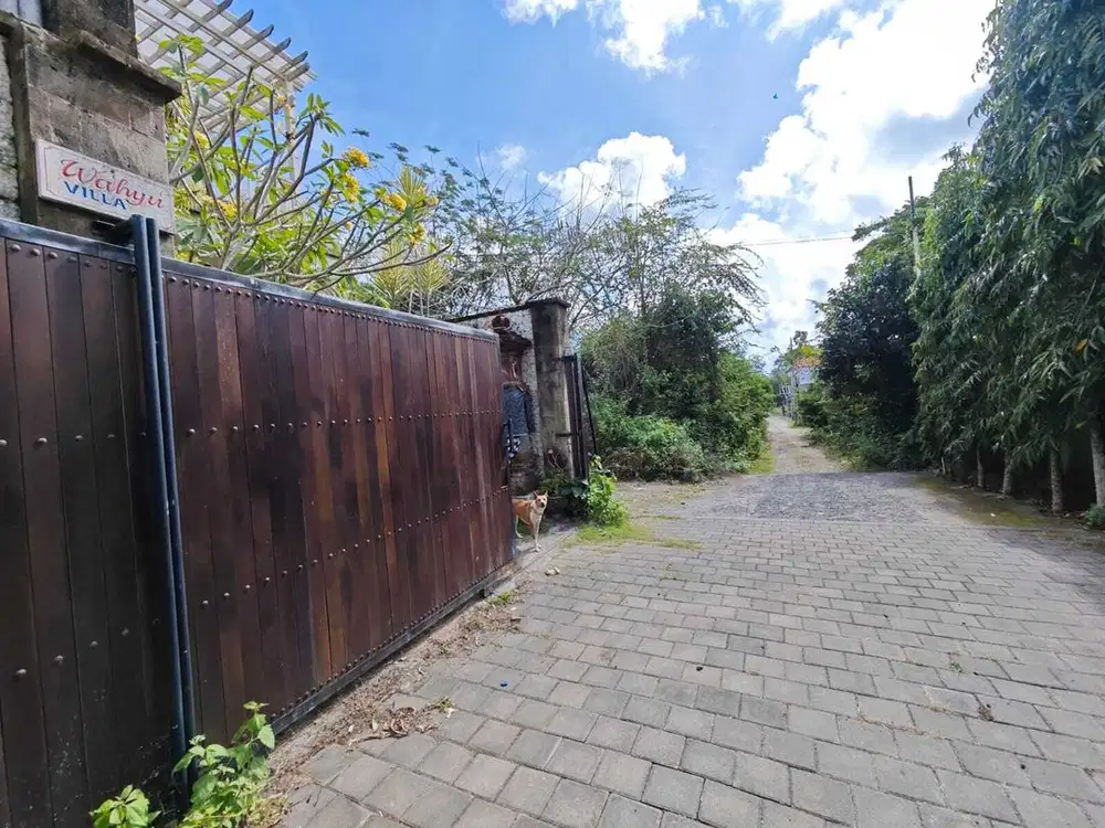 Tanah Strategis Jl Langui Kauh Ungasan