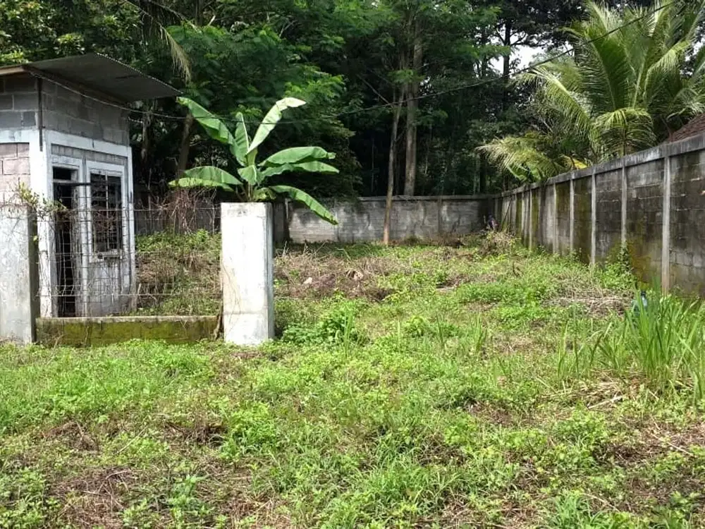 Dijual Tanah Invest Kaligetas Mijen