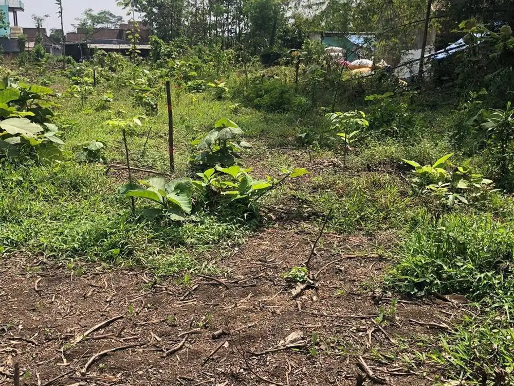 Dijual Tanah Strategis Di Pakisaji Malang