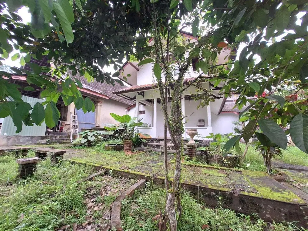Tanah Murah Bonus Rumah di Lodtunduh Ubud