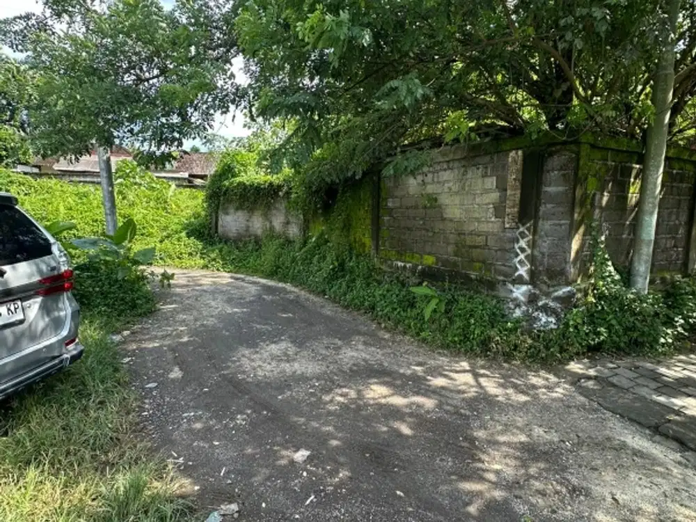 Tanah Dijual Cepat Dekat Pepito Andong - Ubud