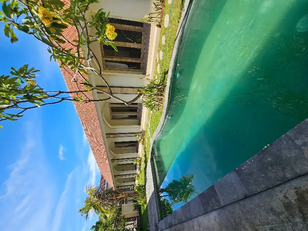 For Rent Brand new villa  at Kerobokan