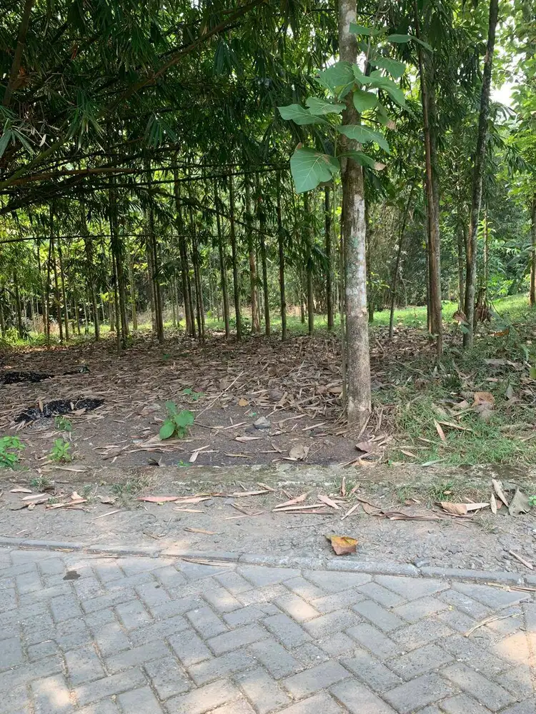 TANAH DI TAPOS TIGARAKSA