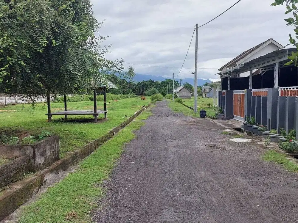 Tanah Kavling Jalan Menara Suar Pelabuhan Celukan Bawang Gerokgak