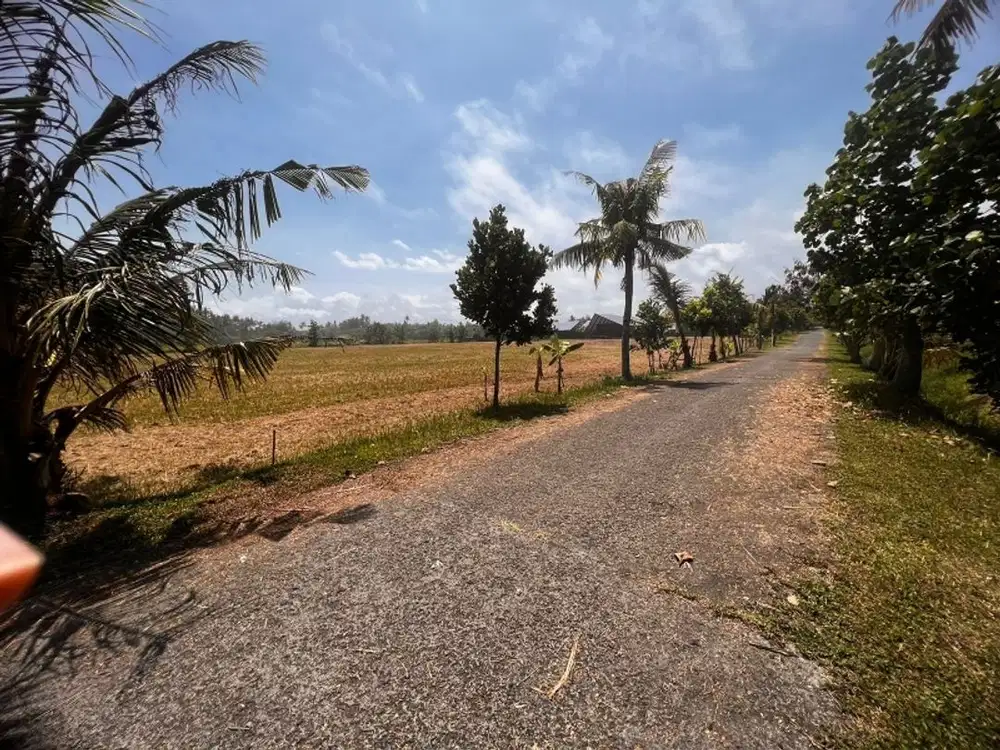 Tanah Kavling HGB Dekat Pantai Belong Beach