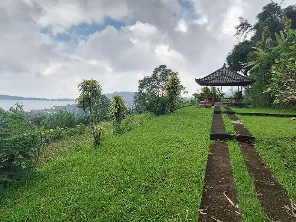 Tanah View Danau di Candikuning Bedugul
