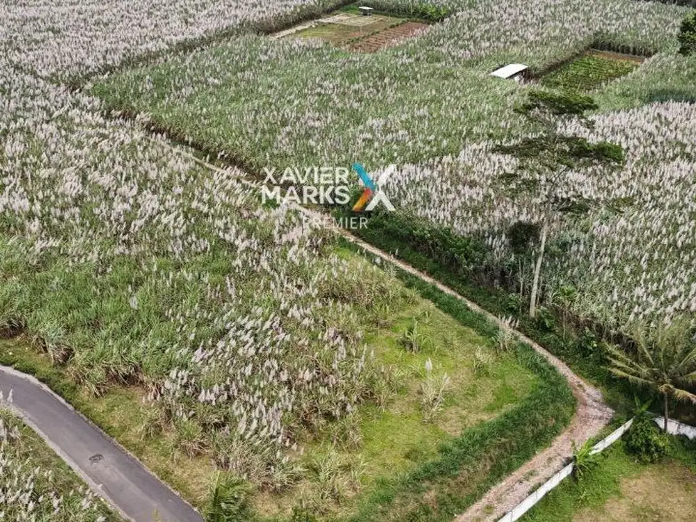 Dijual Tanah Kavling Super Luas di Daerah Mondoroko, Singosari Malang