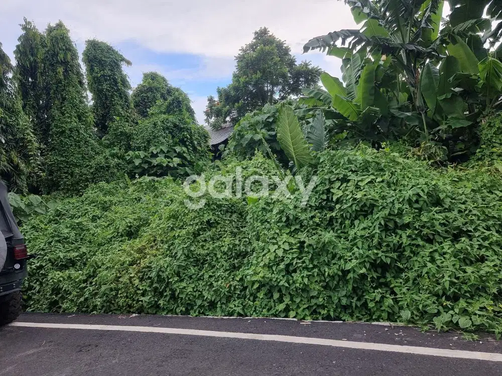 TANAH PIDADA UBUNG DENPASAR, BALI