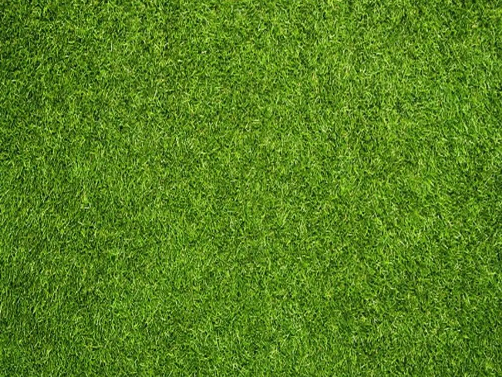 Tanah kavling Hoek di dslam cluster di Giri Loka 3 BSD City