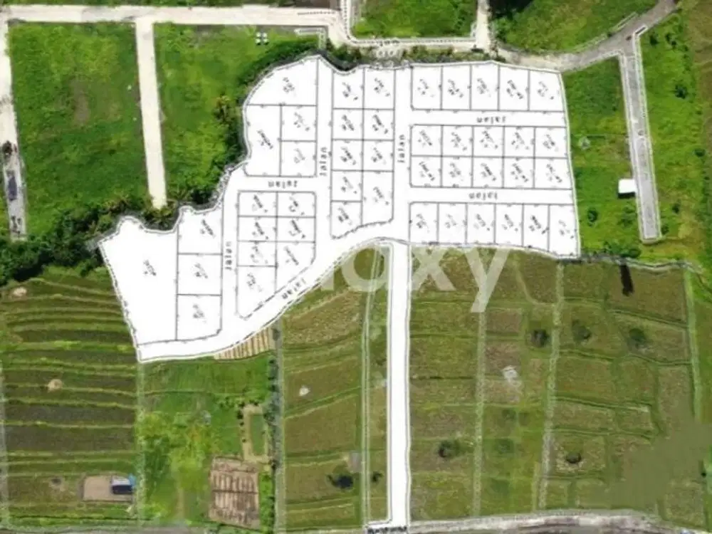 TANAH KAVLING VIEW SAWAH RAYA PANTAI KEDUNGU BELALANG KEDIRI TABANAN