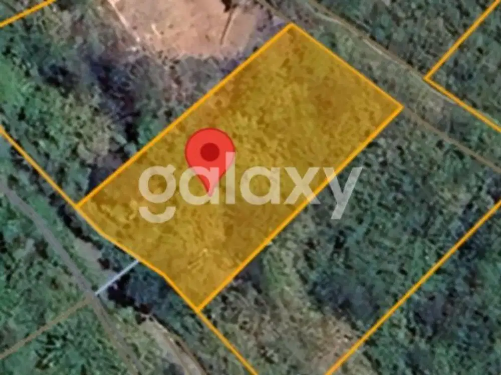 TANAH DI PANCASARI SUKASADA BULELENG, BALI