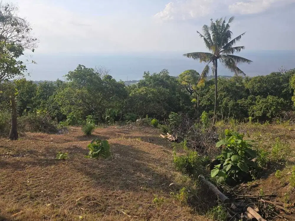 Dijual tanah 20 are di Lovina, Buleleng, Banjar, Bali