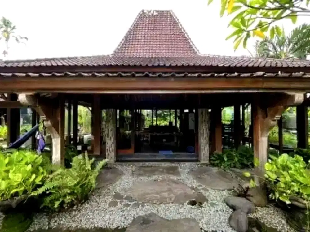 Tanah MURAH Bonus Joglo Umalas Kerobokan