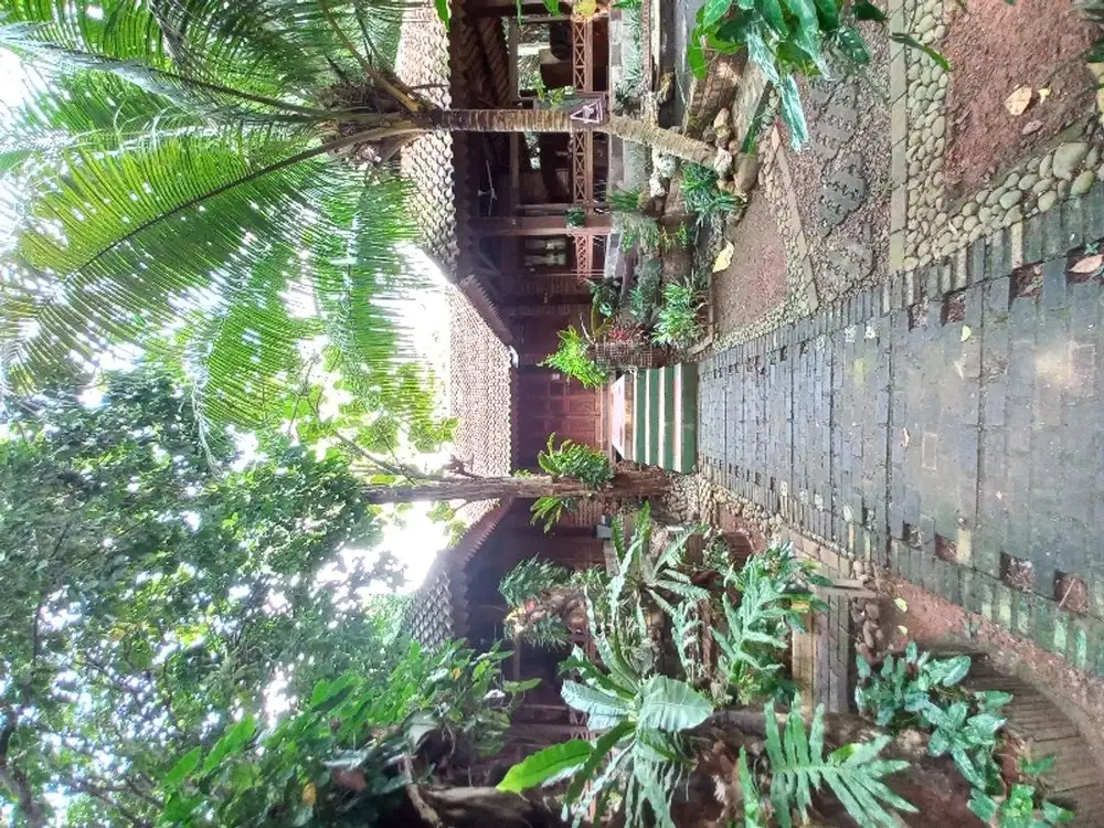 Tempat Usaha Diatas Lahan Yang Sangat Luas di Dekat BSD