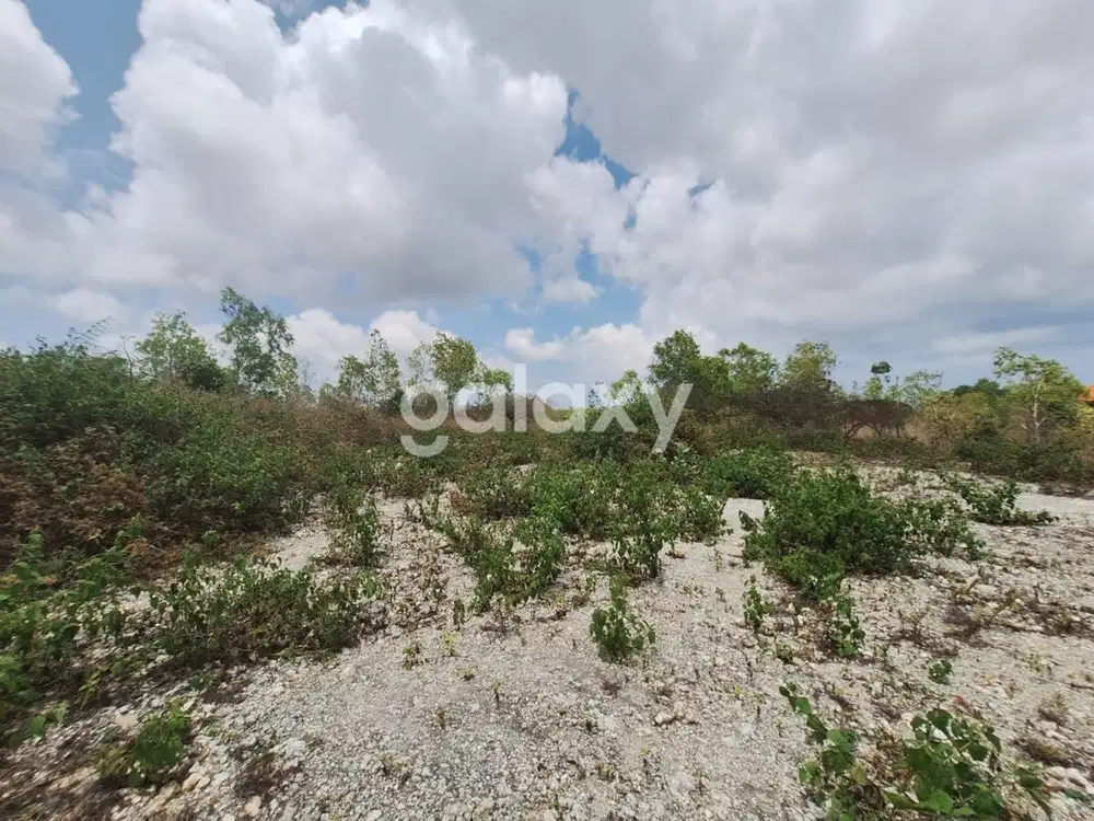 TANAH TUNDUN PENYU DIPAL UNGASAN BADUNG, BALI