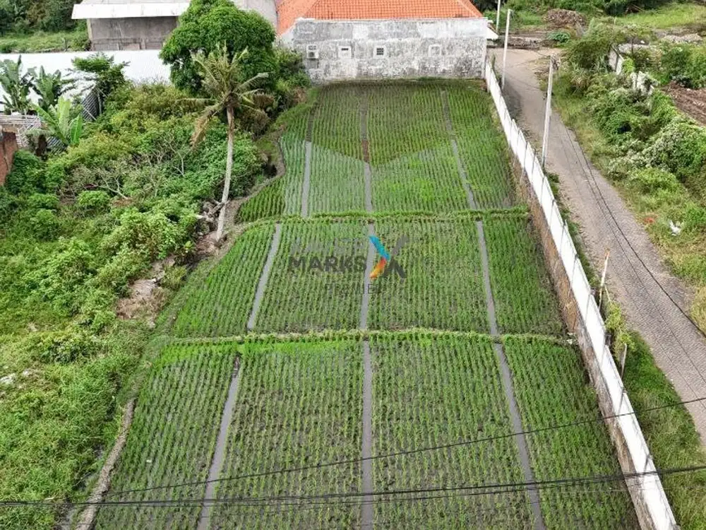 Dijual Tanah Kavling di Jl. Kyai H. Yusuf, Tasikmadu Lowokwaru Malang