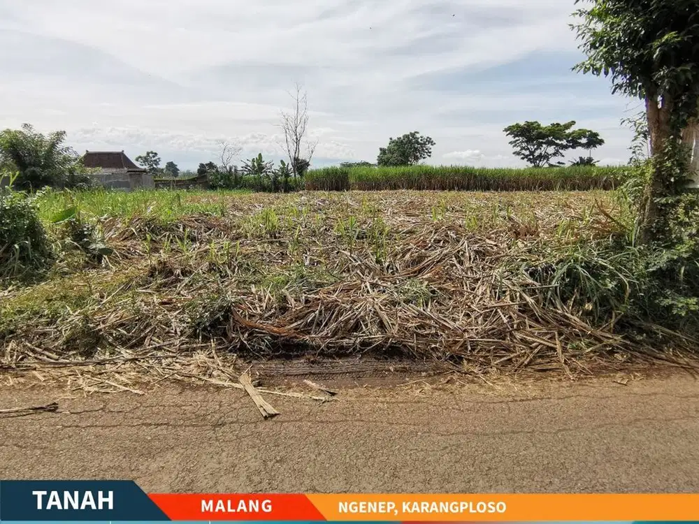 Dijual Tanah Kavling Cocok untuk Perumahan di Karangploso Malang