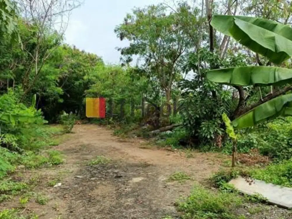 Kavling di Rorotan Cilincing Jakarta Utara Luas 6065 m2