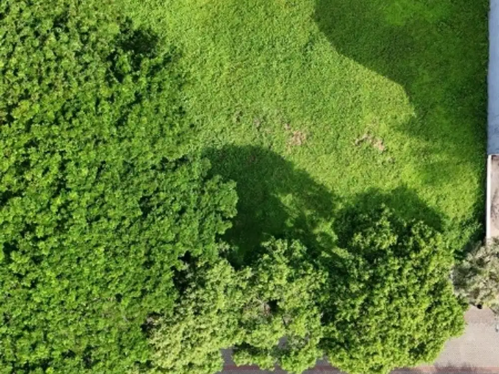 MURAHHH KAVLING TANAH TAMAN GOLF CITRALAND UTAMA