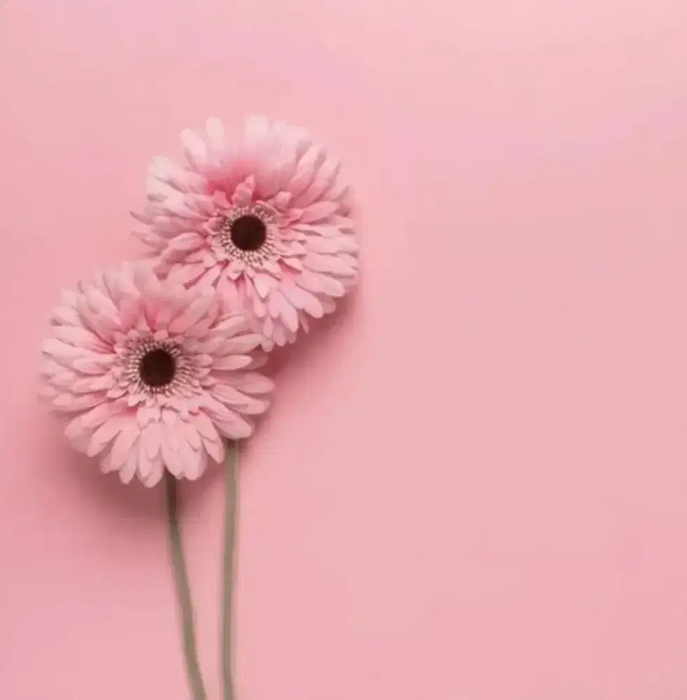 LOWONGAN ASISTEN RUMAH TANGGA