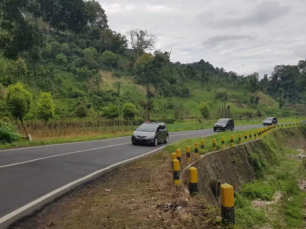 DIJUAL TANAH Datar di Raya Pujon - Ngantang, Cocok Komersial