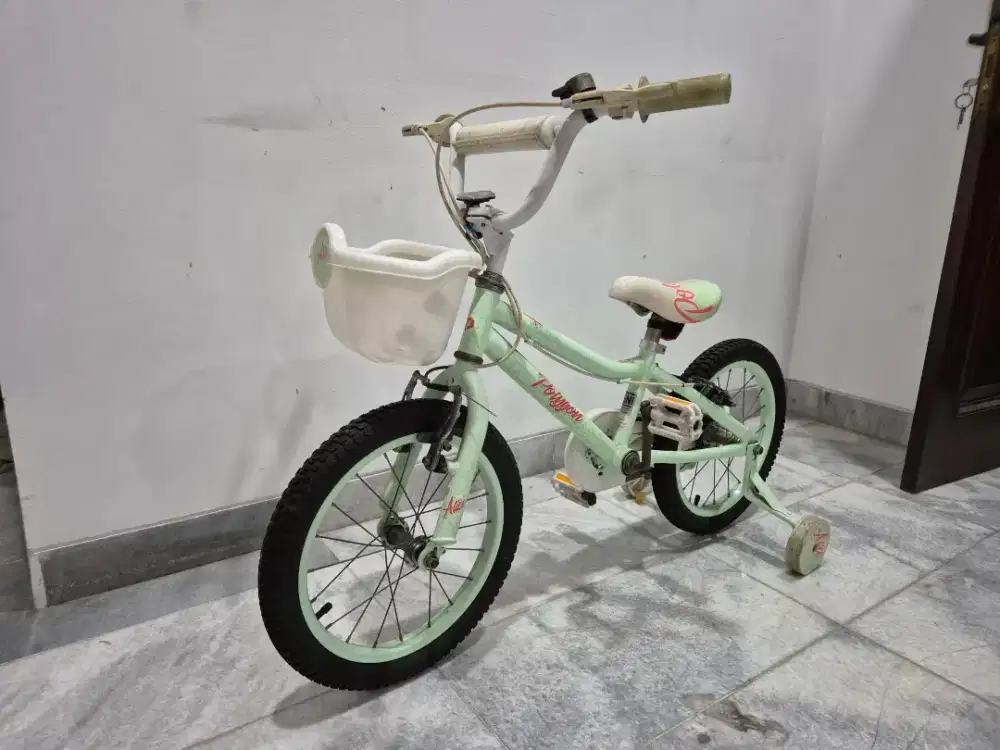 Sepeda Anak Polygon Alice 16 inch