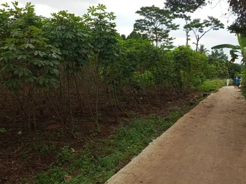 Dijual Tanah di Cibinong Bogor