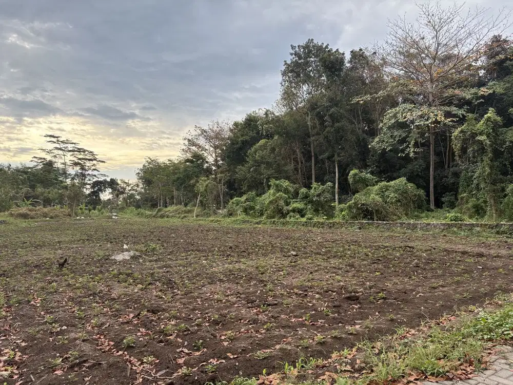 Area Premium UII; Tanah Siap Bangun; Kawasan Prospektif