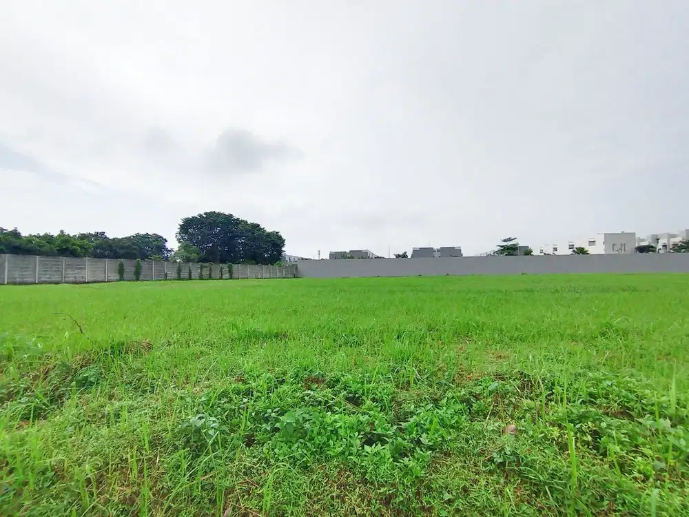 Tanah Kav Komersial 5181m2 Di BSD Tabebuya Jalan Ramai Dkt Grandlucky