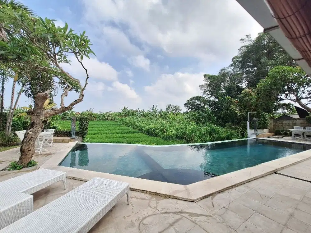 Tropis  dan Rice Field View Villa  di Berawa Tibubeneng