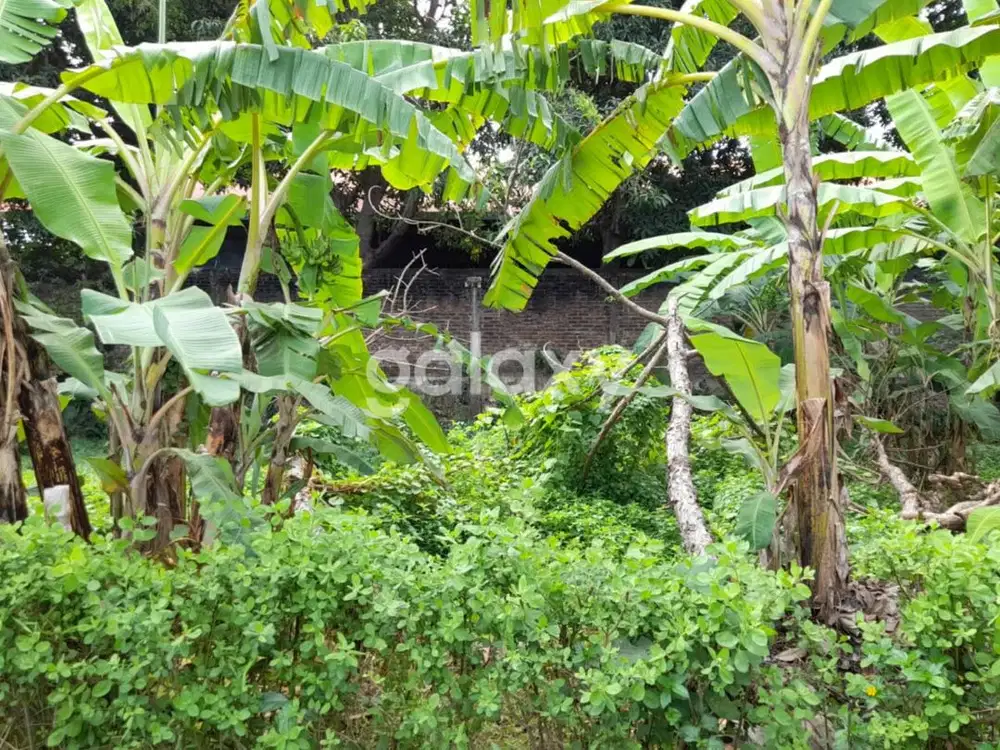 TANAH TANGKUBAN PERAHU PADANGSAMBIAN DENPASAR, BALI