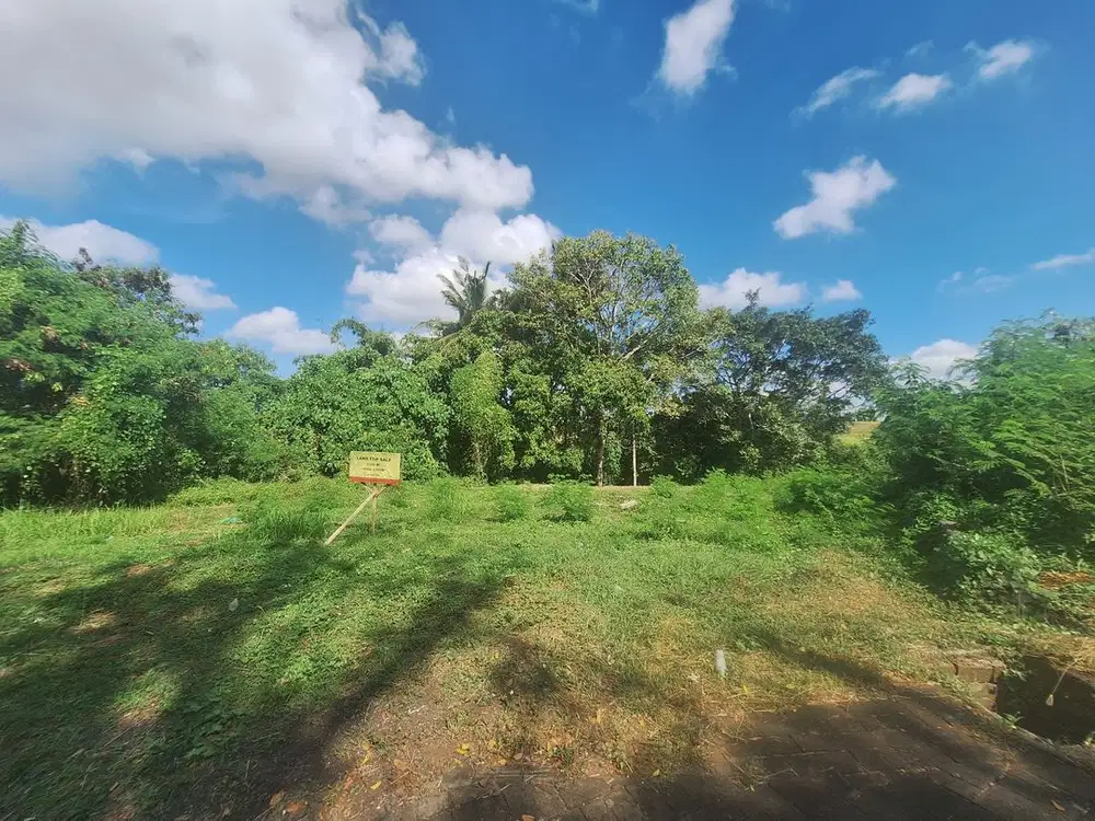 Tanah View Sungai dan Sawah di Greenlot Sambandha Munggu