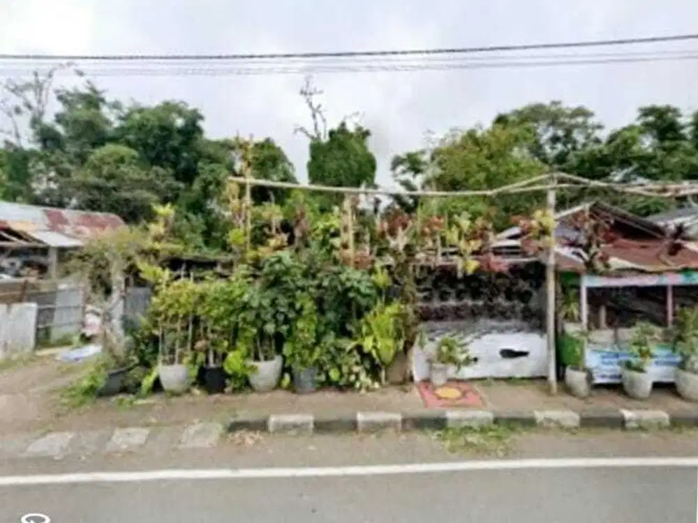 Tanah Jalan Utama Dekat Kebun Raya Bedugul