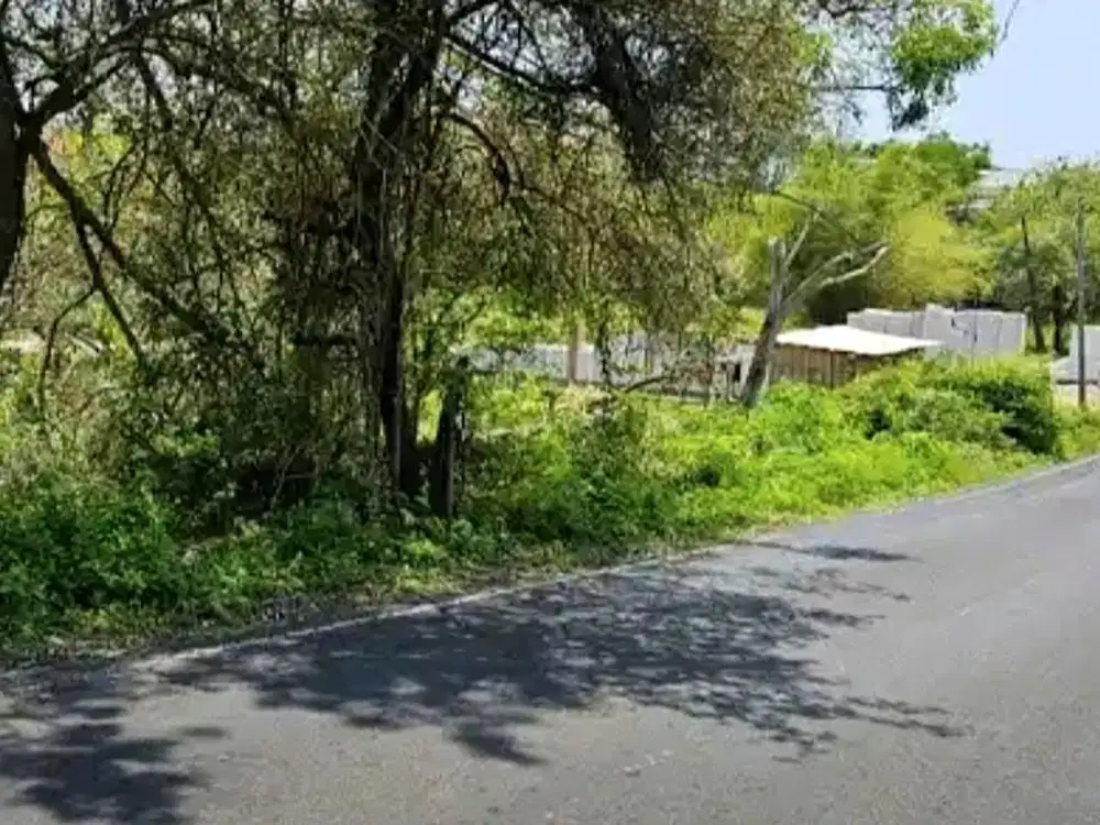 Tanah Komersial Jl Dharmawangsa Ungasan