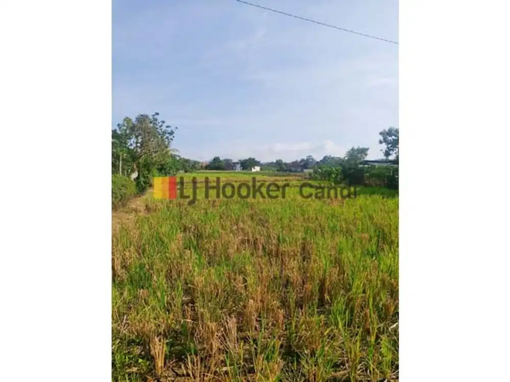 Kavling di Pemuda Boja Kendal Jawa Tengah