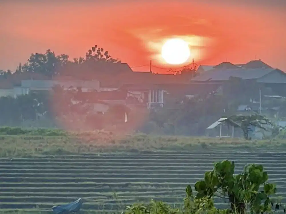 Tanah Subak Canggu Pantai Berawa