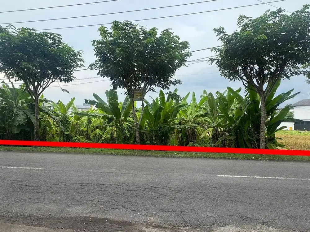 Tanah Jl Tumbak Bayuh Canggu