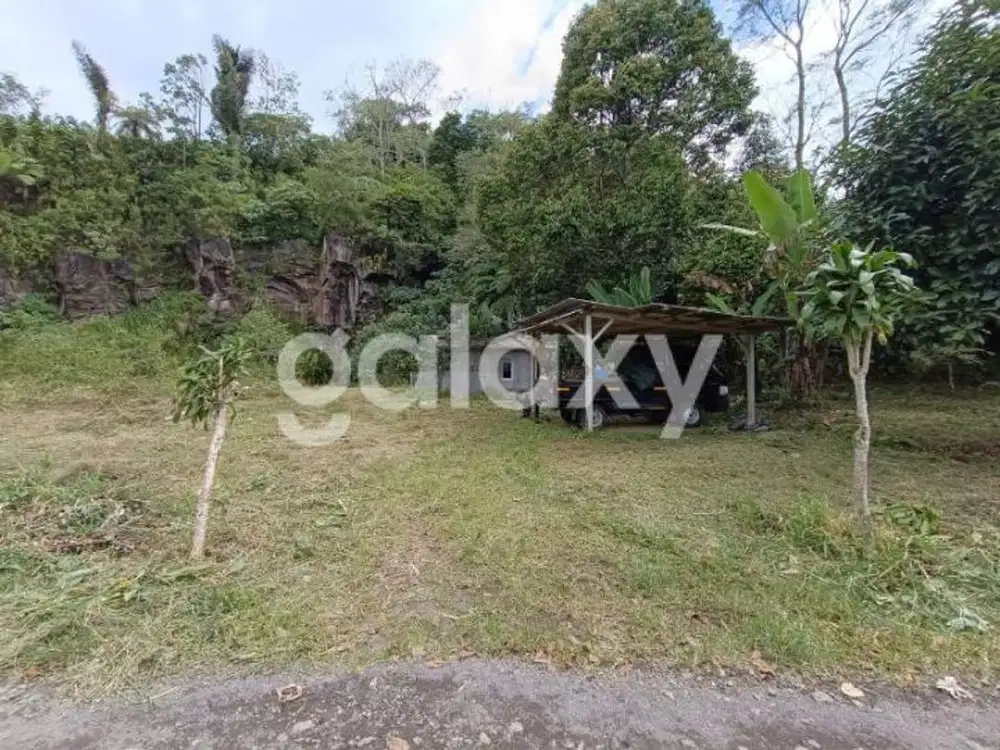 TANAH KEBUN DI RAYA BATURITI TABANAN, BALI