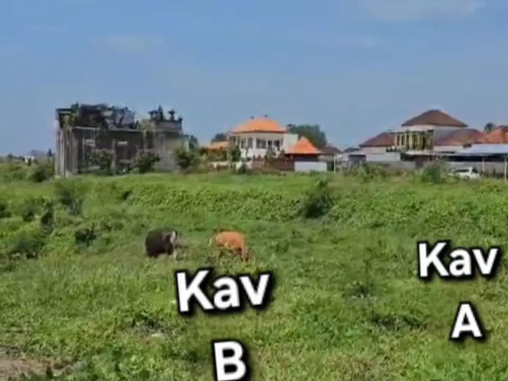 Tanah Kavling di Pantai Kedungu Nyitdah