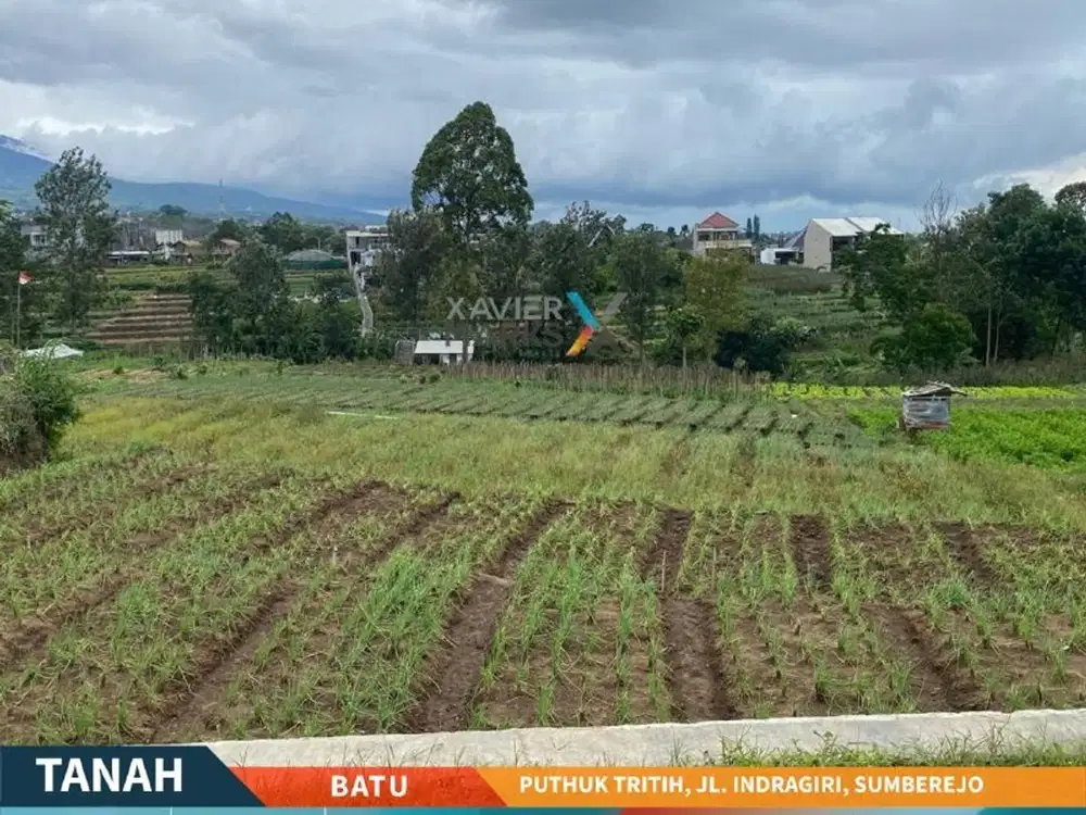 Tanah Siap Bangun Di Puthuk Tritih Jalan Indragiri Sumberejo Batu(634)