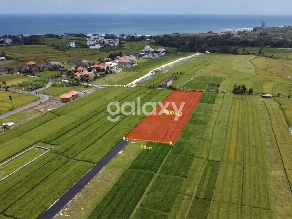 TANAH VIEW SAWAH DI PANTAI MENGENING CEMAGI MENGWI BADUNG, BALI