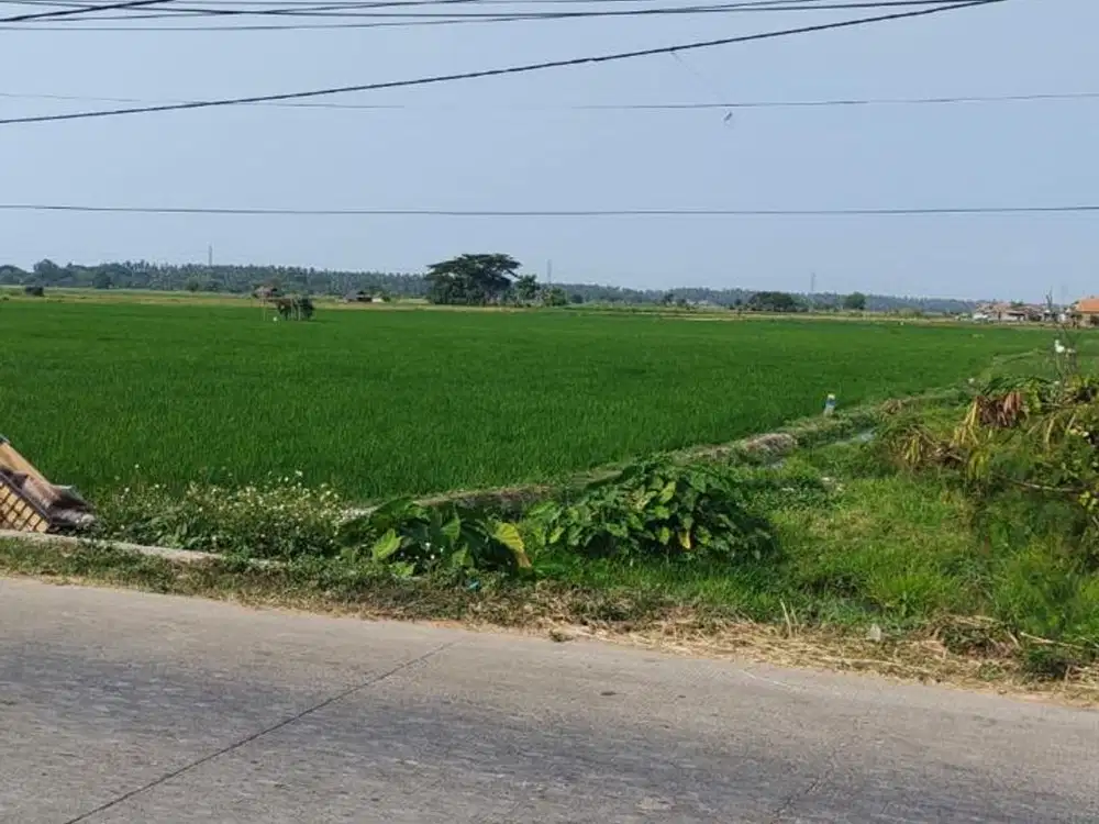 Jual tanah posisi jalan raya mauk Tegal Kunir lor bisa untuk gudang