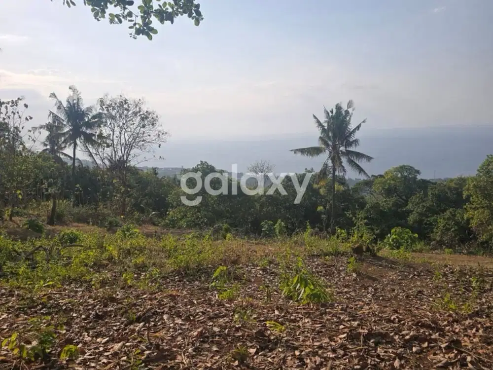 Dijual Tanah 20 are di Lovina, Buleleng