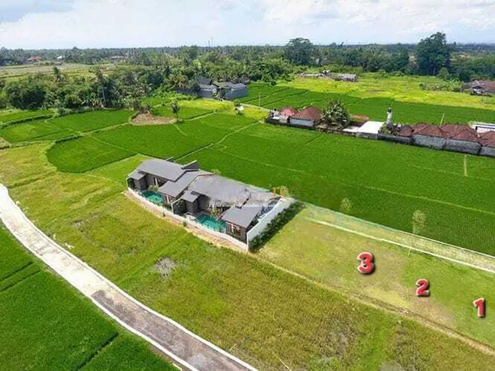 Tanah Kavling Di Raya Gelogor Lodtunduh Ubud
