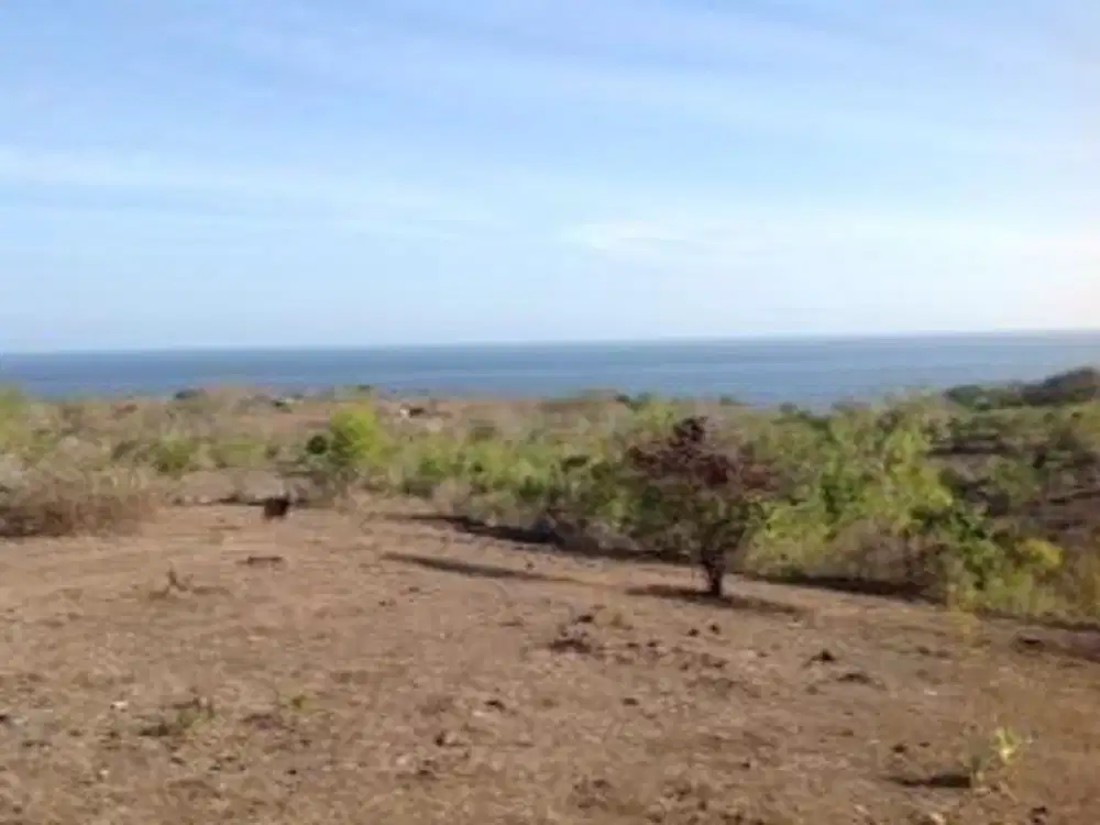 Tanah Ocean View area Pantai Tanah Barak