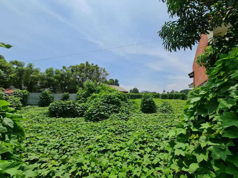 Di Jual Tanah Pinggir Jalan Bojong Renged,  Teluk Naga, Dekat bandara