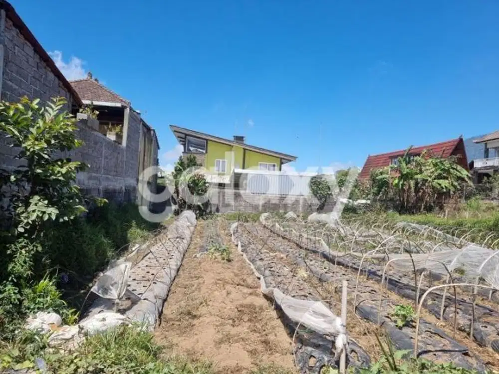 TANAH VIEW GUNUNG DI JEMPIRING CANDIKUNING TABANAN, BALI