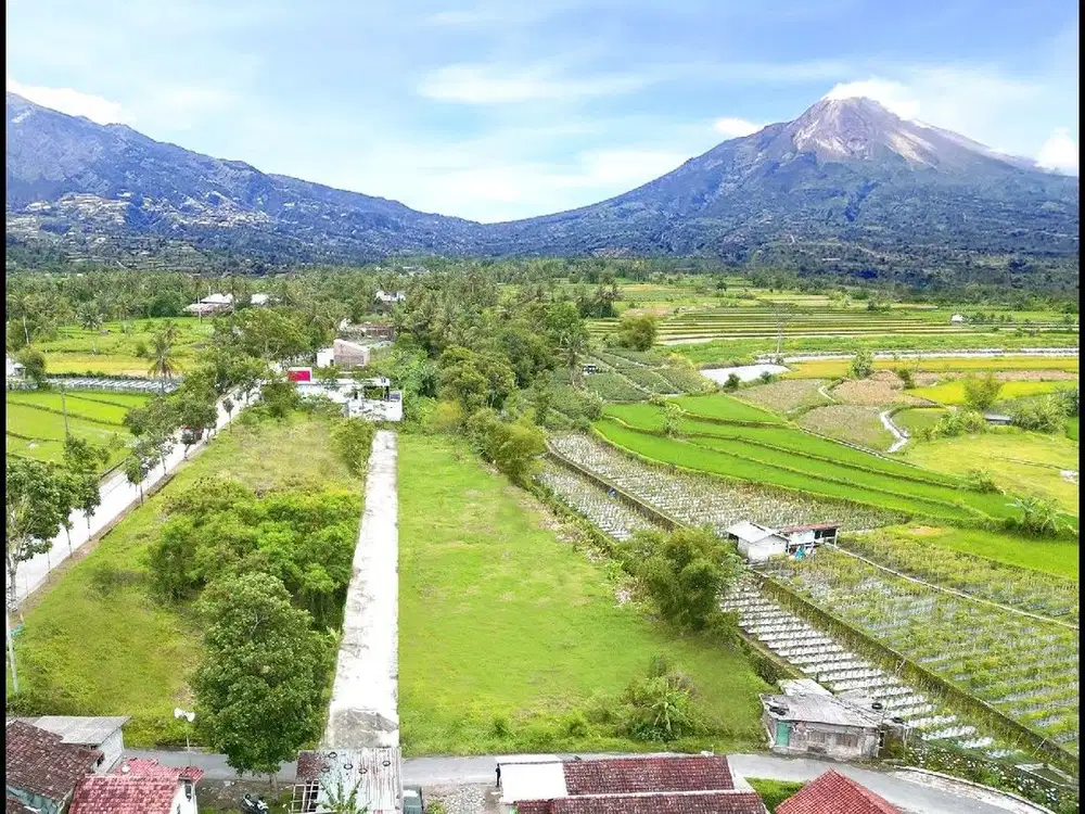 Tanah Murah Magku Jalan Aspal Mungkid Magelang Untuk Usaha