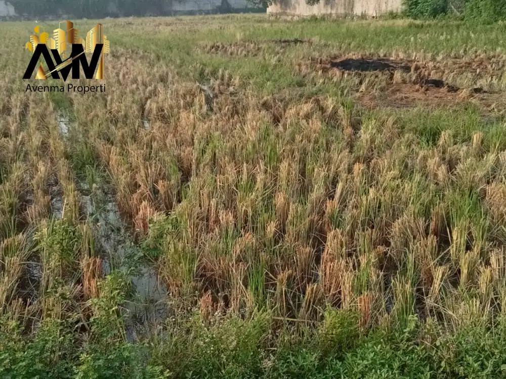 For Sale Tanah Cikarang Cocok Pabrik ataupun Usaha