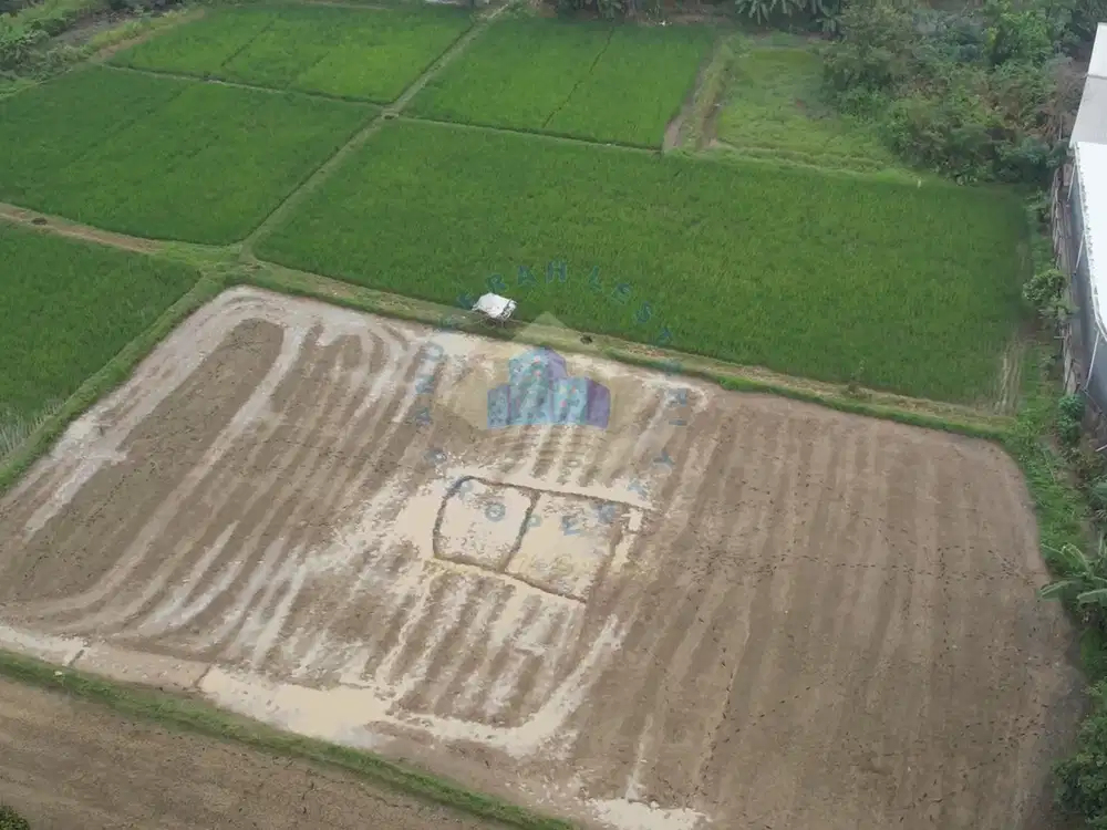 Jual Tanah di Padat karya, Curug, Tangerang - Banten